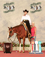 Paint Horse For sale