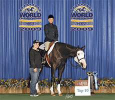 Paint Horse For sale