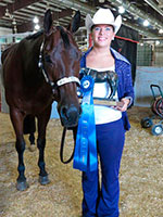 Paint Horse For sale