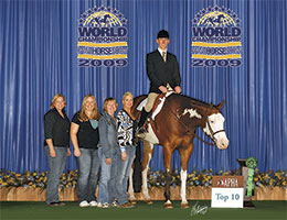 Paint Horse For sale