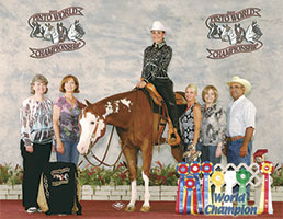 Paint Horse For sale