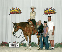 Paint Horse For Sale